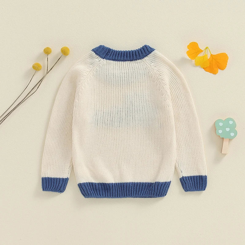 Baby Boys Sweater Casual Letter Embroidery Warm Knitted Long Sleeve Top